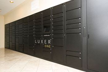 Luxor Package Locker at Windsor South Lamar